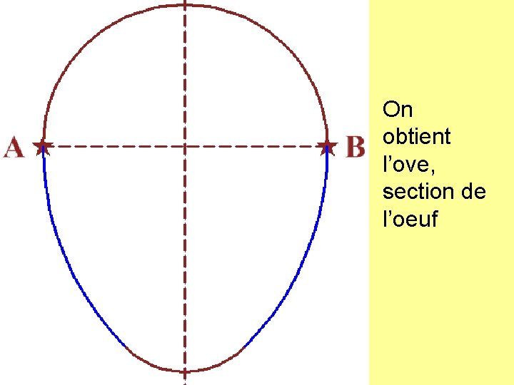 On obtient l’ove, section de l’oeuf 