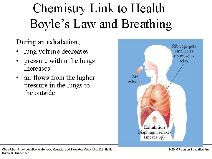 Chemistry Link to Health: Boyle’s Law and Breathing During an exhalation, • lung volume