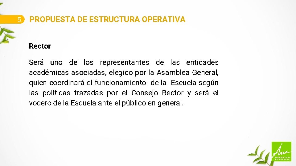 5. PROPUESTA DE ESTRUCTURA OPERATIVA Rector Será uno de los representantes de las entidades