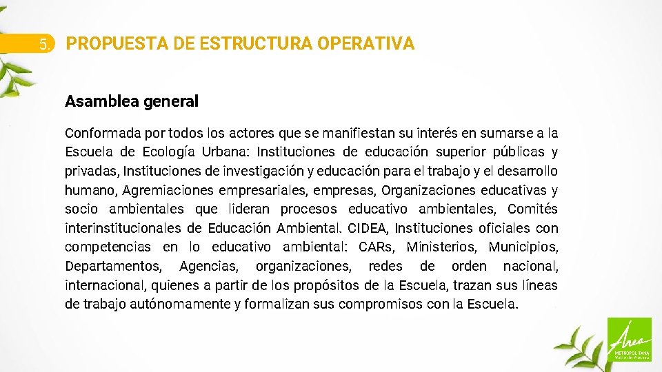 5. PROPUESTA DE ESTRUCTURA OPERATIVA Asamblea general Conformada por todos los actores que se