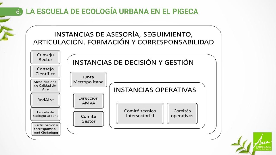 6. LA ESCUELA DE ECOLOGÍA URBANA EN EL PIGECA 