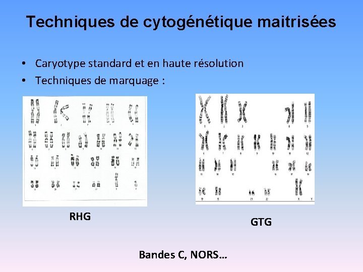 Techniques de cytogénétique maitrisées • Caryotype standard et en haute résolution • Techniques de