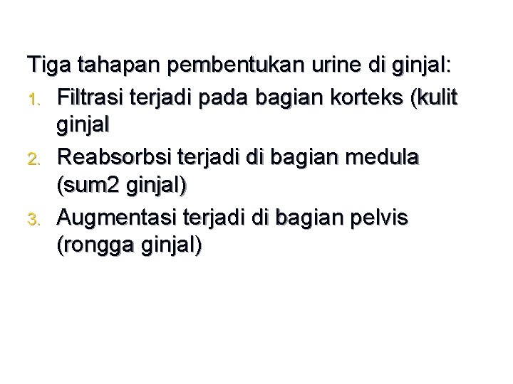 Tiga tahapan pembentukan urine di ginjal: 1. Filtrasi terjadi pada bagian korteks (kulit ginjal