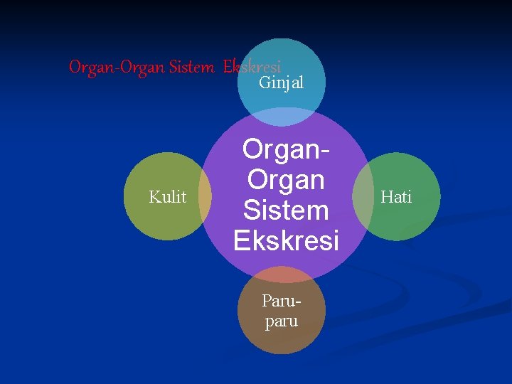 Organ-Organ Sistem Ekskresi Ginjal Kulit Organ Sistem Ekskresi Paruparu Hati 