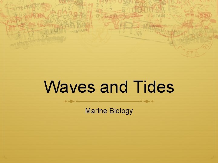 Waves and Tides Marine Biology 