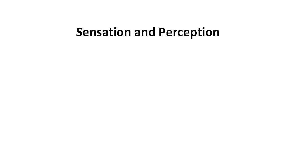Sensation and Perception 