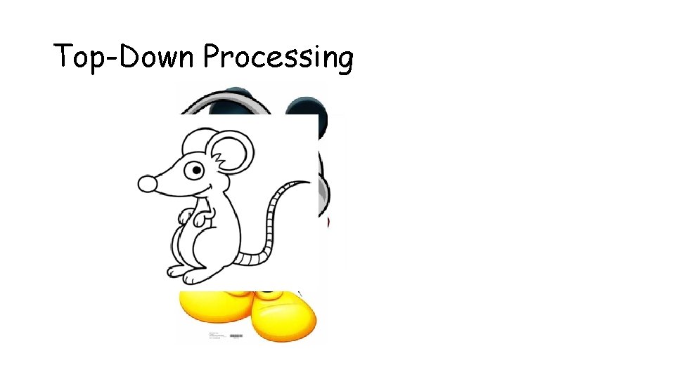 Top-Down Processing 
