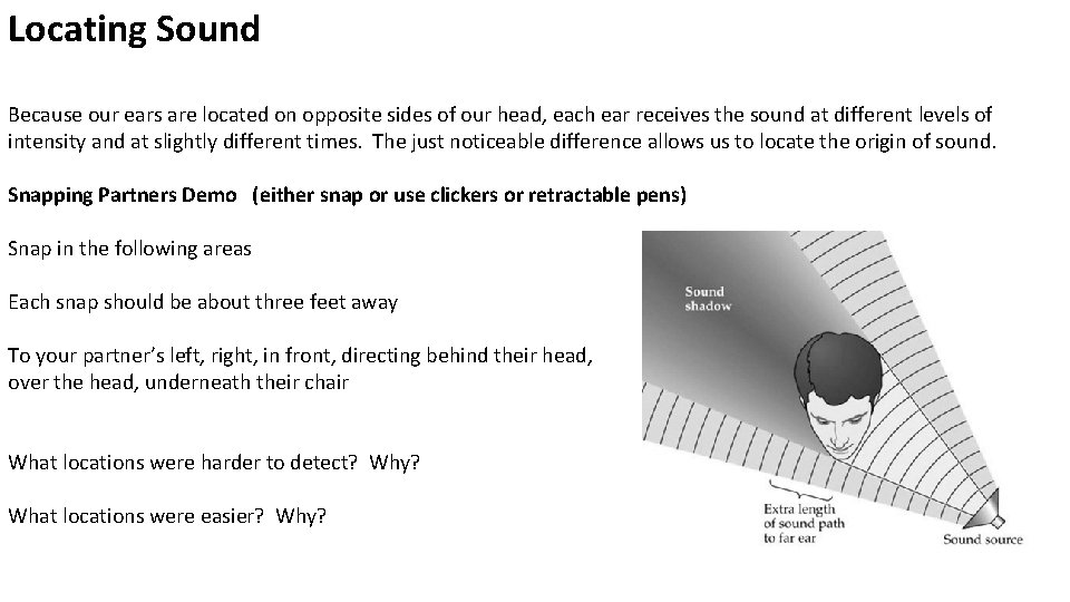 Locating Sound Because our ears are located on opposite sides of our head, each