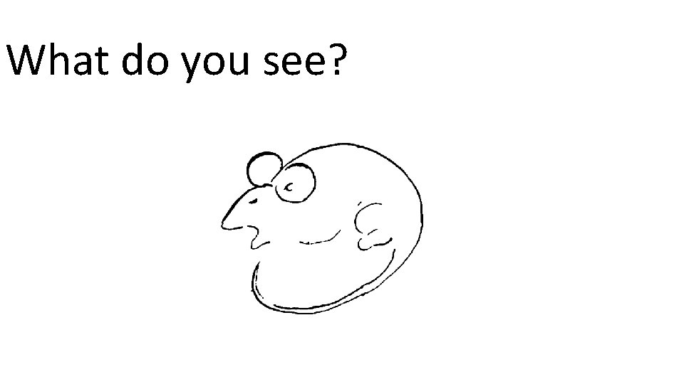 What do you see? 