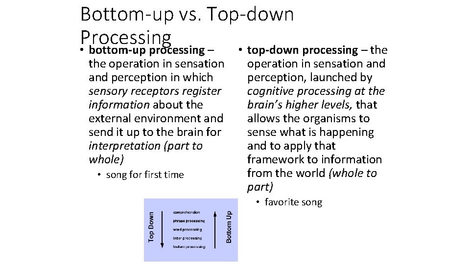 Bottom-up vs. Top-down Processing • bottom-up processing – • top-down processing – the operation