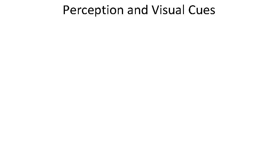 Perception and Visual Cues 