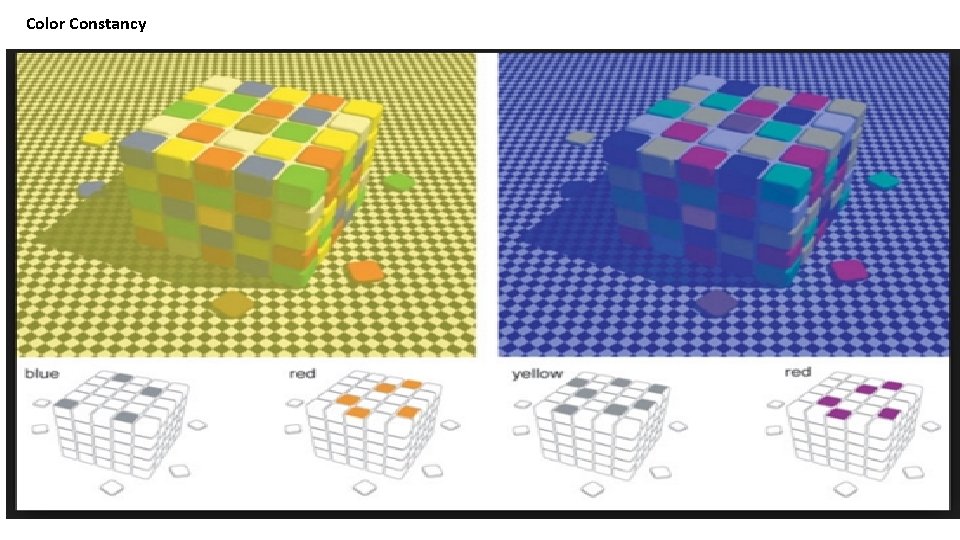 Color Constancy 