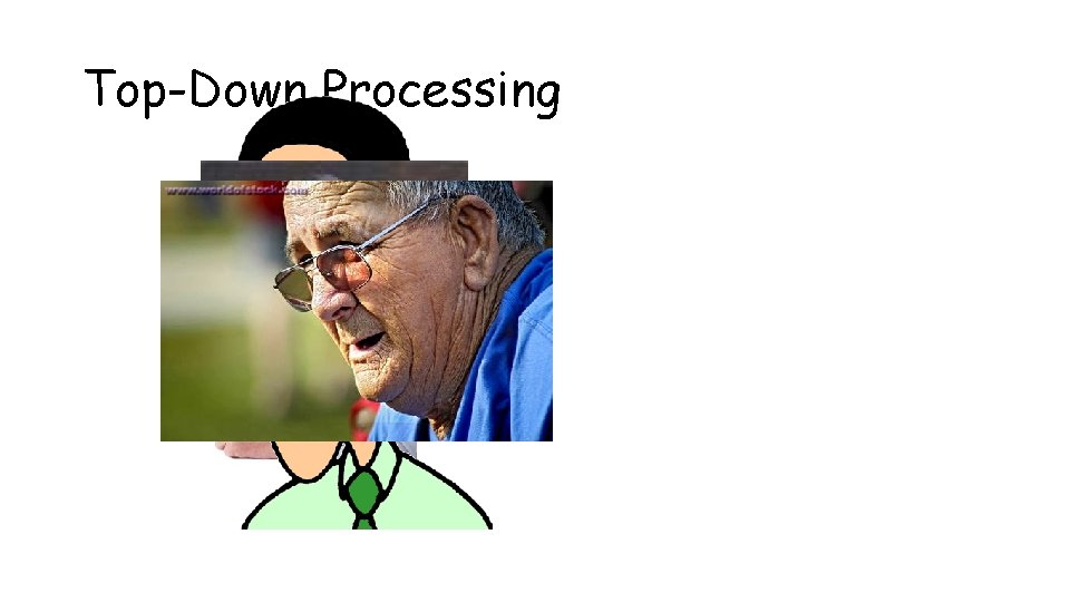 Top-Down Processing 