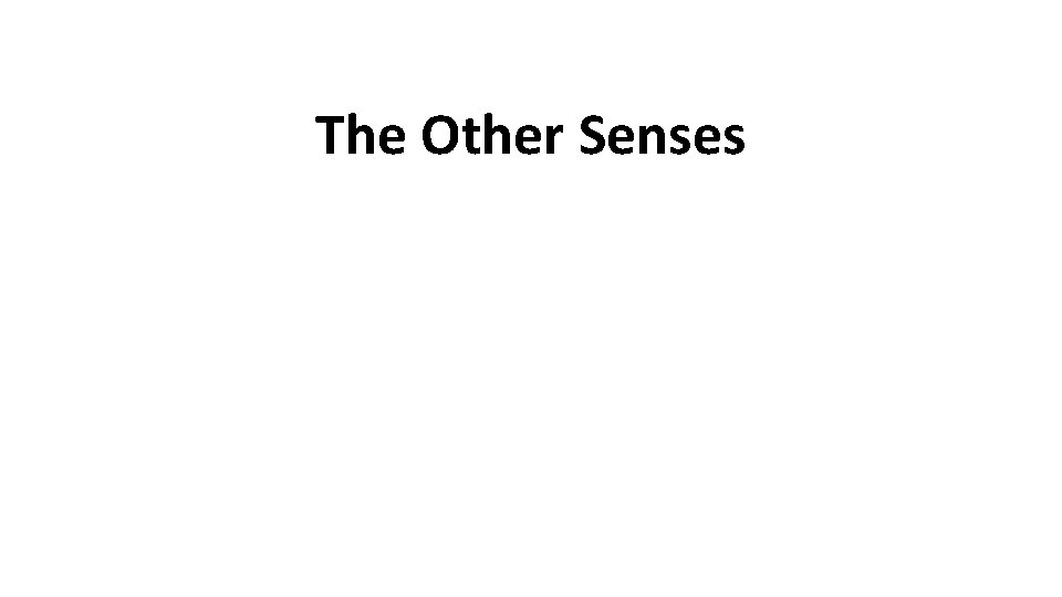 The Other Senses 