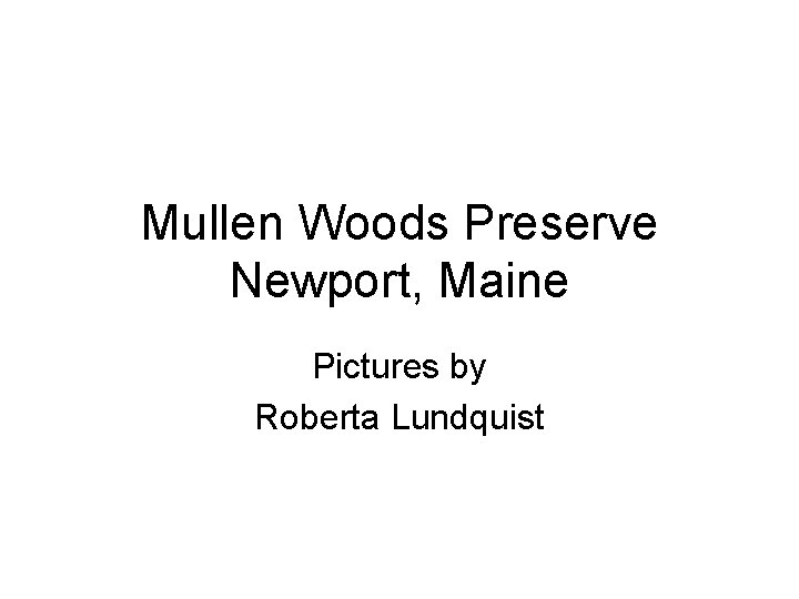 Mullen Woods Preserve Newport, Maine Pictures by Roberta Lundquist 