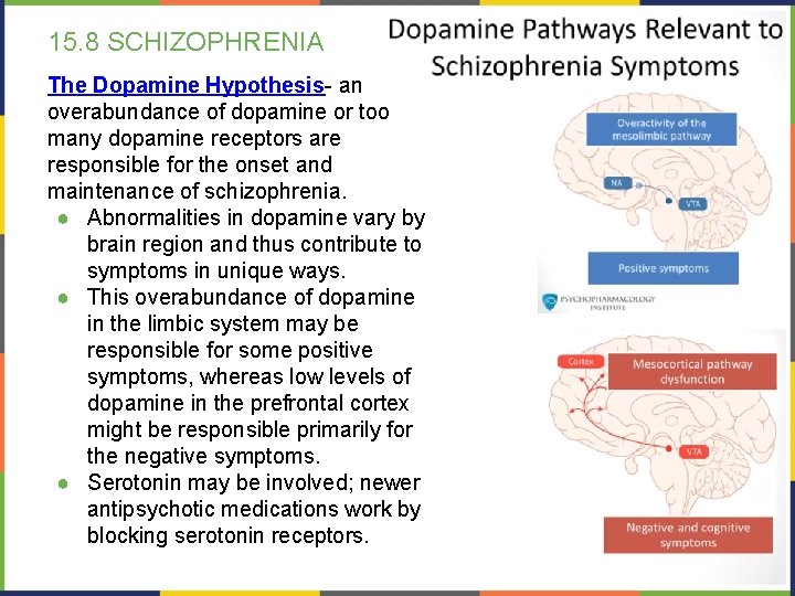 15. 8 SCHIZOPHRENIA The Dopamine Hypothesis- an overabundance of dopamine or too many dopamine