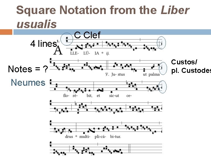 Square Notation from the Liber usualis 4 lines Notes = ? Neumes C Clef