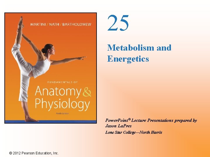 25 Metabolism and Energetics Power. Point® Lecture Presentations prepared by Jason La. Pres Lone