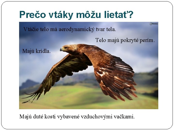 Prečo vtáky môžu lietať? Vtáčie telo má aerodynamický tvar tela. Telo majú pokryté perím.