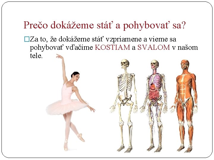 Prečo dokážeme stáť a pohybovať sa? �Za to, že dokážeme stáť vzpriamene a vieme