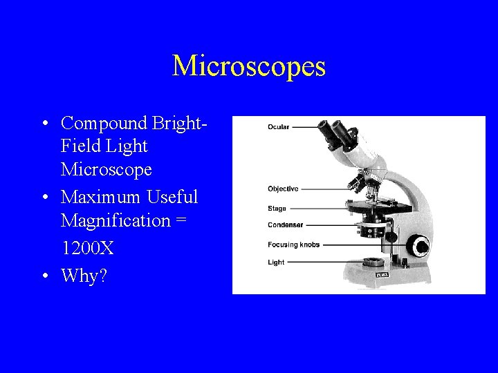 Microscopes • Compound Bright. Field Light Microscope • Maximum Useful Magnification = 1200 X