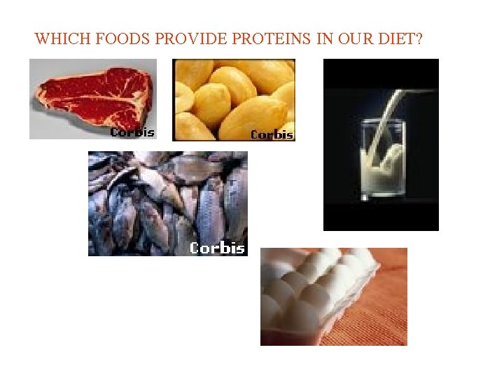 WHICH FOODS PROVIDE PROTEINS IN OUR DIET? 