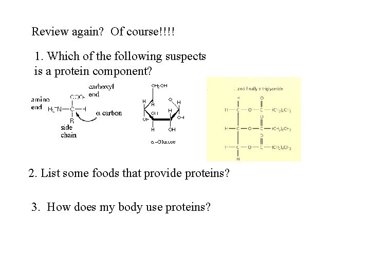 Review again? Of course!!!! 1. Which of the following suspects is a protein component?