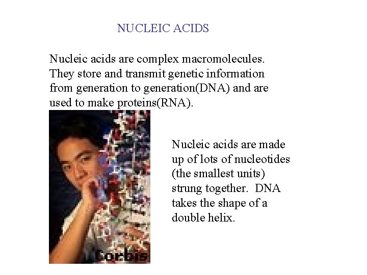 NUCLEIC ACIDS Nucleic acids are complex macromolecules. They store and transmit genetic information from