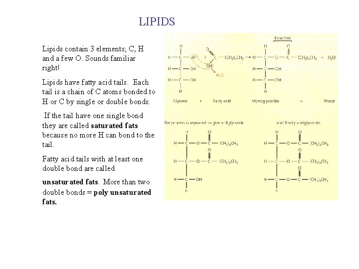 LIPIDS Lipids contain 3 elements; C, H and a few O. Sounds familiar right! LIPIDS Lipids contain 3 elements; C, H and a few O. Sounds familiar right!