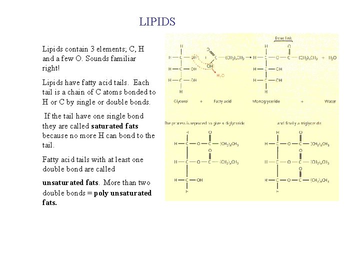 LIPIDS Lipids contain 3 elements; C, H and a few O. Sounds familiar right!