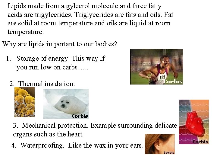 Lipids made from a gylcerol molecule and three fatty acids are trigylcerides. Triglycerides are