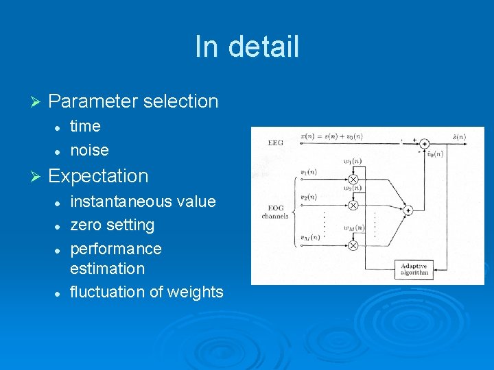 In detail Ø Parameter selection l l Ø time noise Expectation l l instantaneous