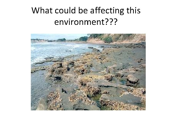 What could be affecting this environment? ? ? 