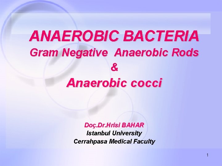 ANAEROBIC BACTERIA Gram Negative Anaerobic Rods & Anaerobic cocci Doç. Dr. Hrisi BAHAR Istanbul