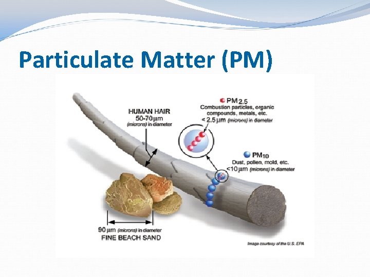 Particulate Matter (PM) 