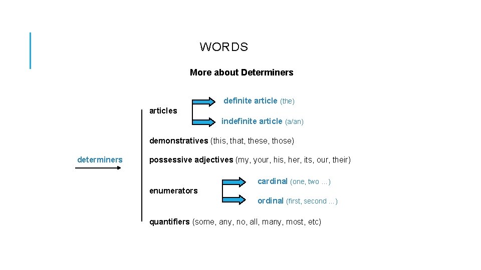 WORDS More about Determiners definite article (the) articles indefinite article (a/an) demonstratives (this, that, WORDS More about Determiners definite article (the) articles indefinite article (a/an) demonstratives (this, that,
