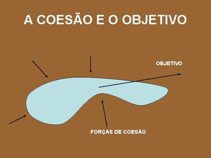 A COESÃO E O OBJETIVO FORÇAS DE COESÃO 