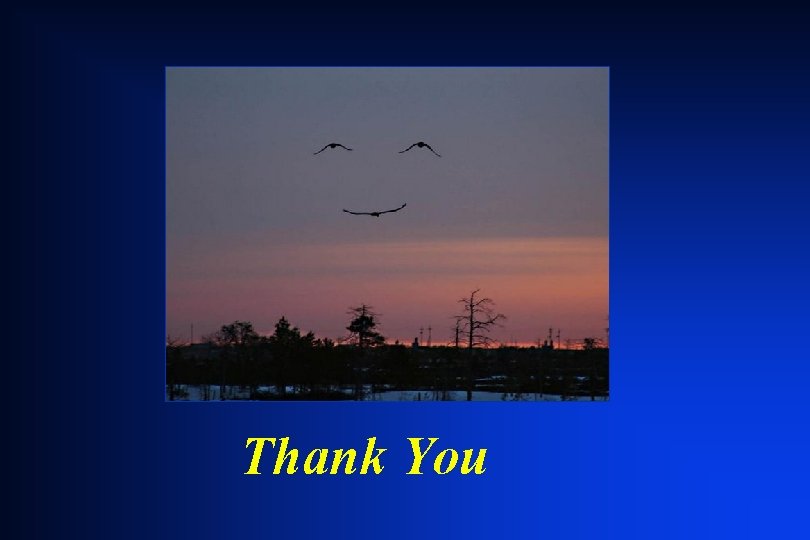 Thank You Thank You