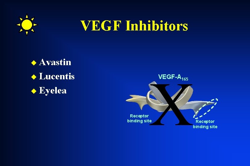 VEGF Inhibitors u Avastin u Lucentis u Eyelea X VEGF-A 165 Receptor binding site VEGF Inhibitors u Avastin u Lucentis u Eyelea X VEGF-A 165 Receptor binding site