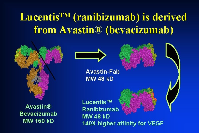 Lucentis™ (ranibizumab) is derived from Avastin® (bevacizumab) Avastin-Fab MW 48 k. D Avastin® Bevacizumab Lucentis™ (ranibizumab) is derived from Avastin® (bevacizumab) Avastin-Fab MW 48 k. D Avastin® Bevacizumab