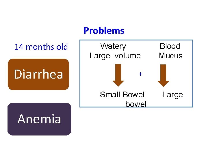 Problems 14 months old Diarrhea Watery Large volume + Small Bowel bowel Anemia Blood