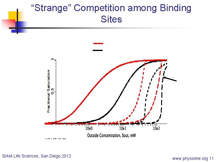 “Strange” Competition among Binding Sites SIAM Life Sciences, San Diego 2012 www. physiome. org