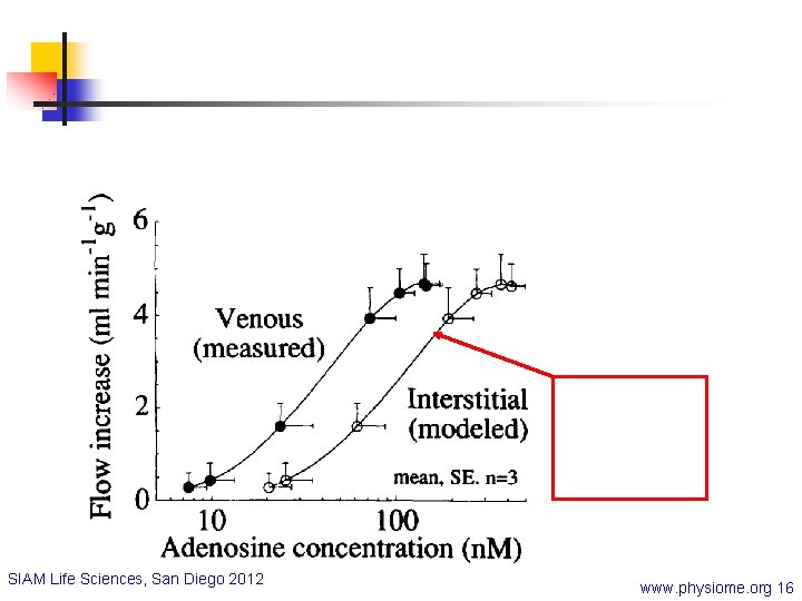 SIAM Life Sciences, San Diego 2012 www. physiome. org 16 