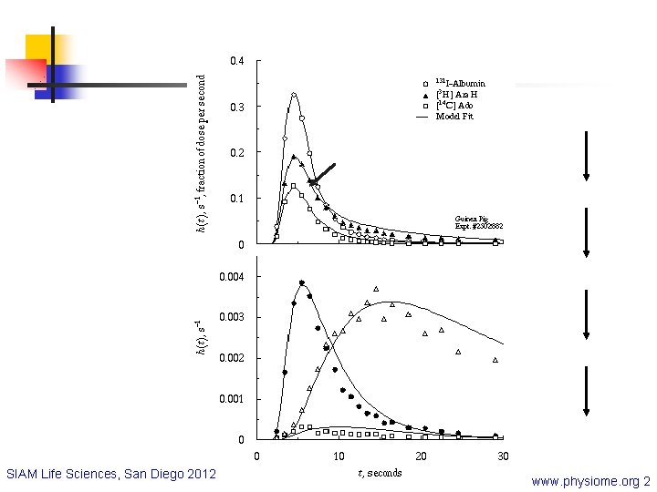 SIAM Life Sciences, San Diego 2012 www. physiome. org 2 