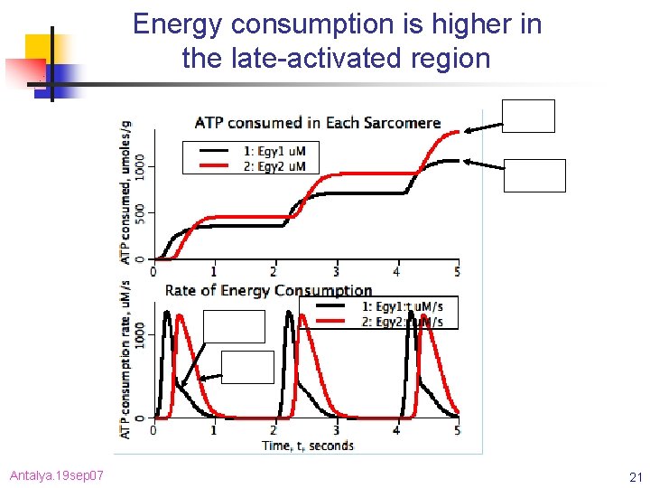 Energy consumption is higher in the late-activated region Antalya. 19 sep 07 21 