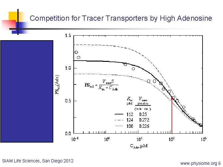 Competition for Tracer Transporters by High Adenosine SIAM Life Sciences, San Diego 2012 www.