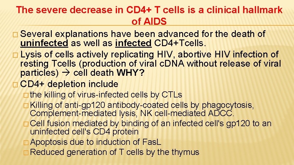 The severe decrease in CD 4+ T cells is a clinical hallmark of AIDS