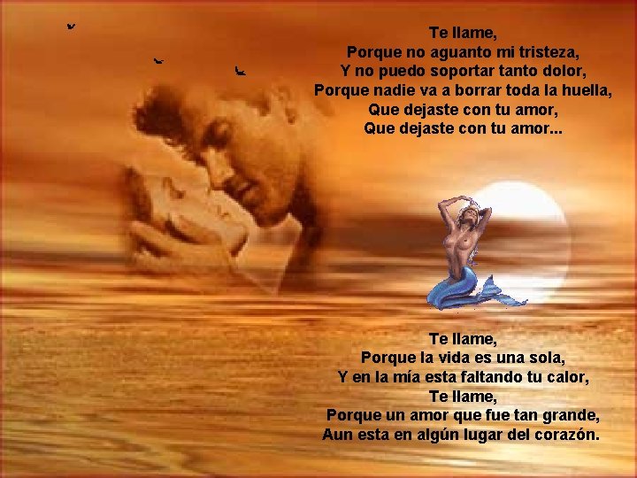 Te llame, Porque no aguanto mi tristeza, Y no puedo soportar tanto dolor, Porque