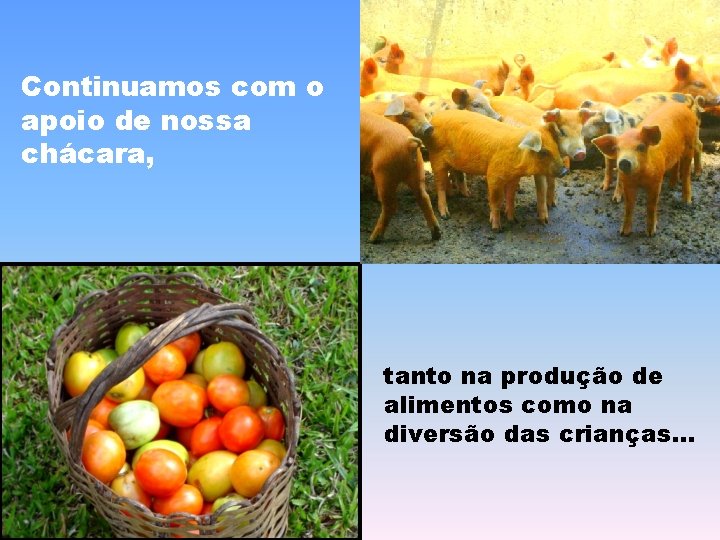 Continuamos com o apoio de nossa chácara, tanto na produção de alimentos como na