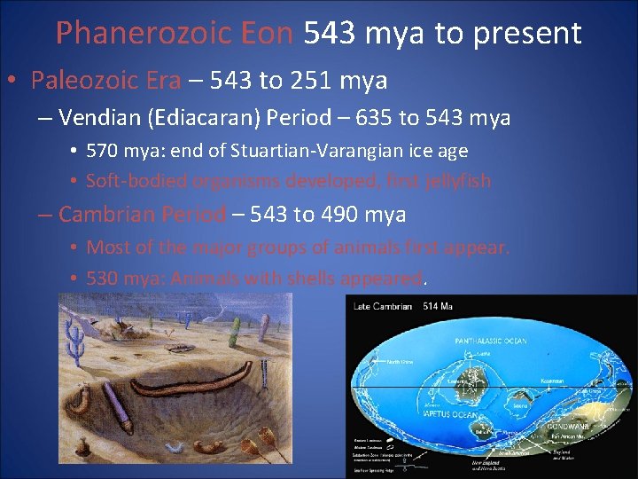 Phanerozoic Eon 543 mya to present • Paleozoic Era – 543 to 251 mya
